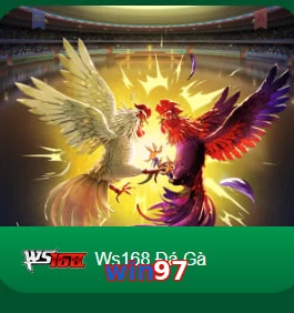 win97